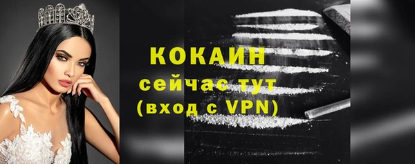 спиды Аркадак