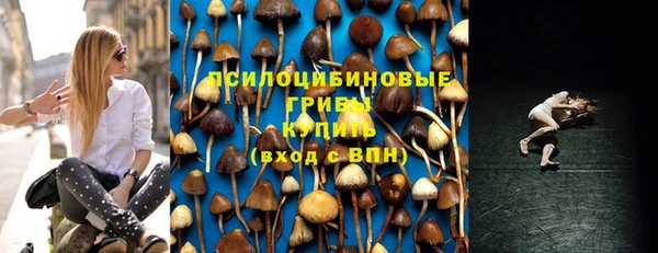 мдпв Арсеньев
