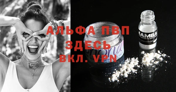 спиды Аркадак