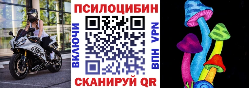 Галлюциногенные грибы Psilocybine cubensis Родники