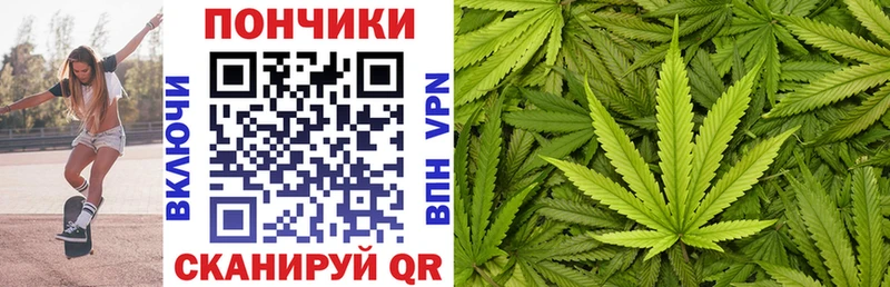 как найти Родники Бошки Шишки SATIVA & INDICA